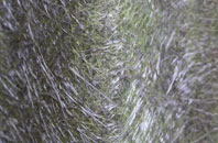 Taxal fibreglass roof work